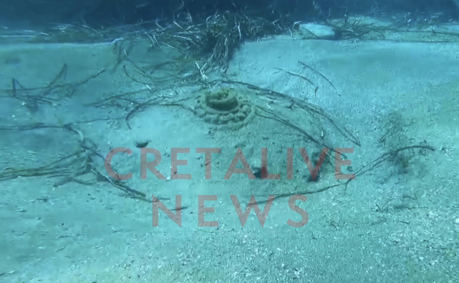 νάρκη Ψαρομούρα 