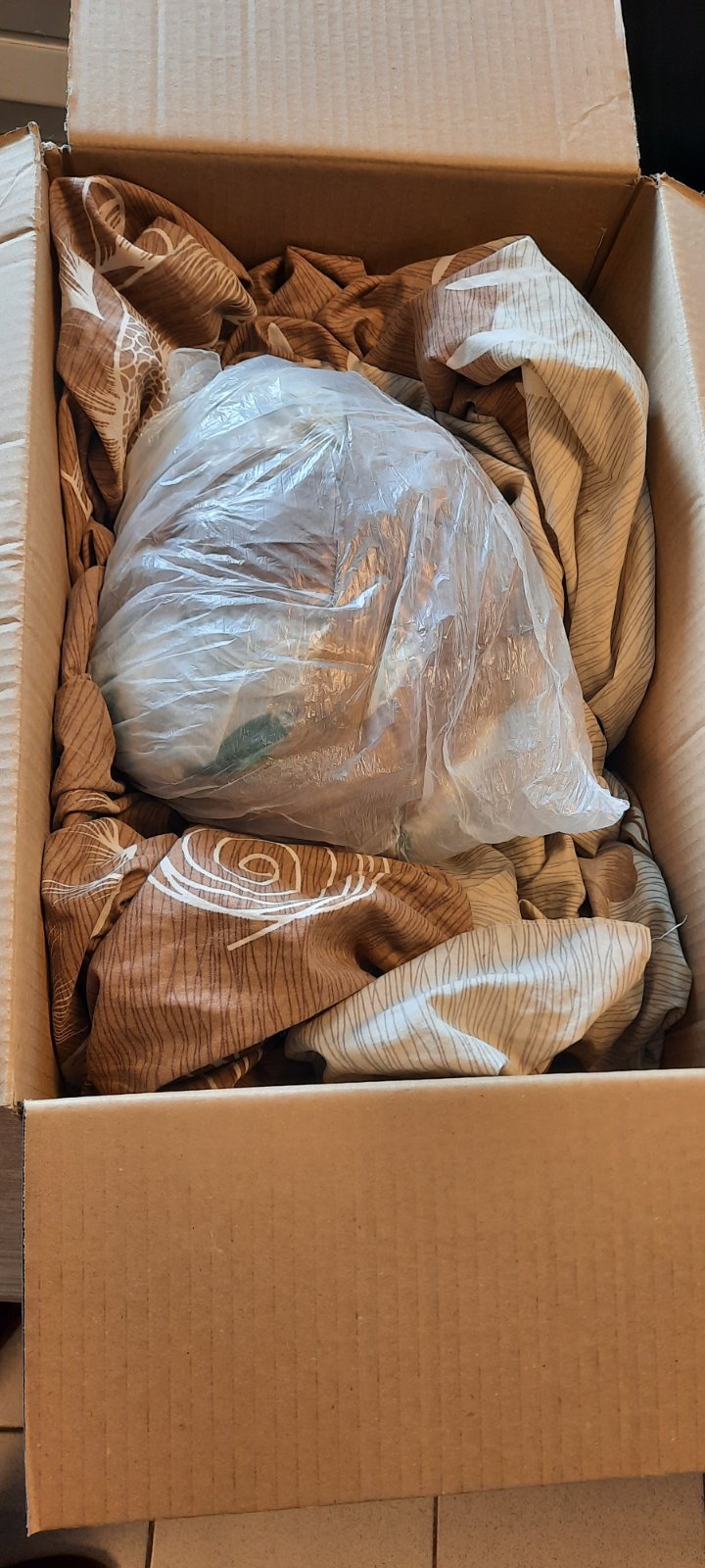 Κάνναβη κούριερ