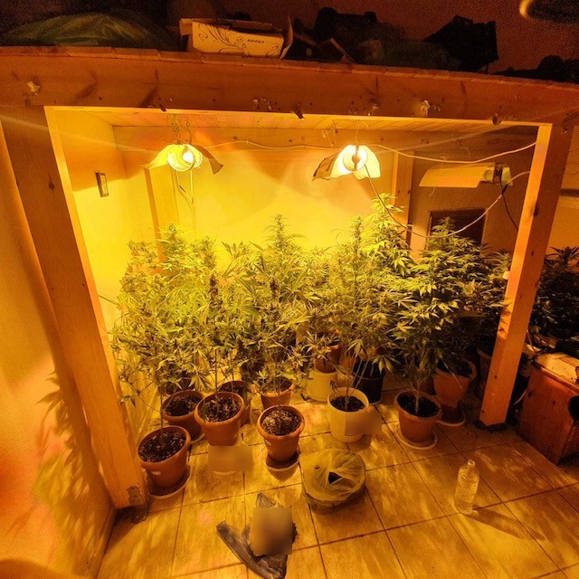 Ναρκωτικά υδροπονική