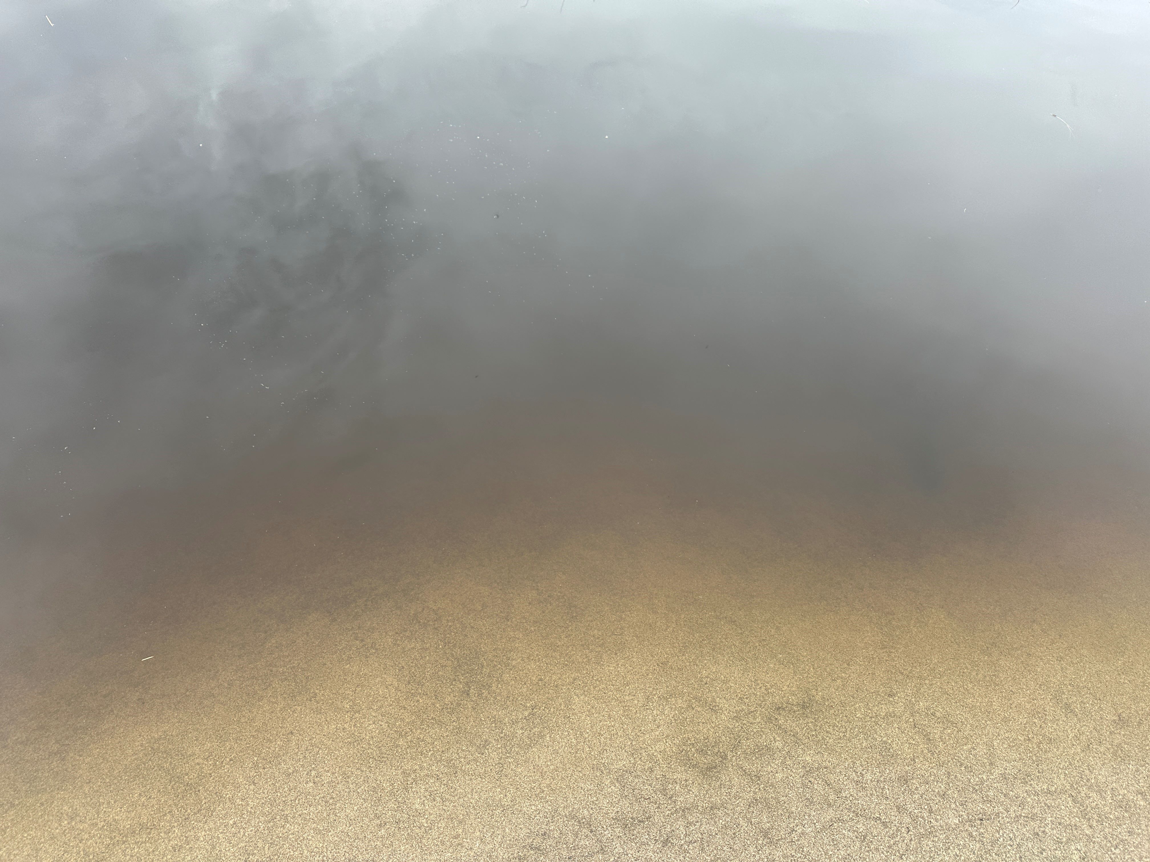 Ευτροφική εικόνα του νερού με έντονη θολερότητα