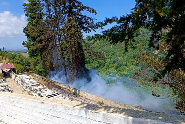 φωτογραφία ertnews.gr