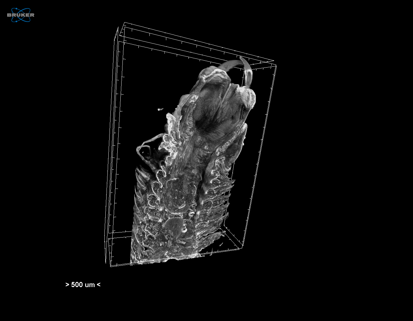 MAPWORMS - Μίμηση της προσαρμογής και της πλαστικότητας στους θαλάσσιους σκώληκες