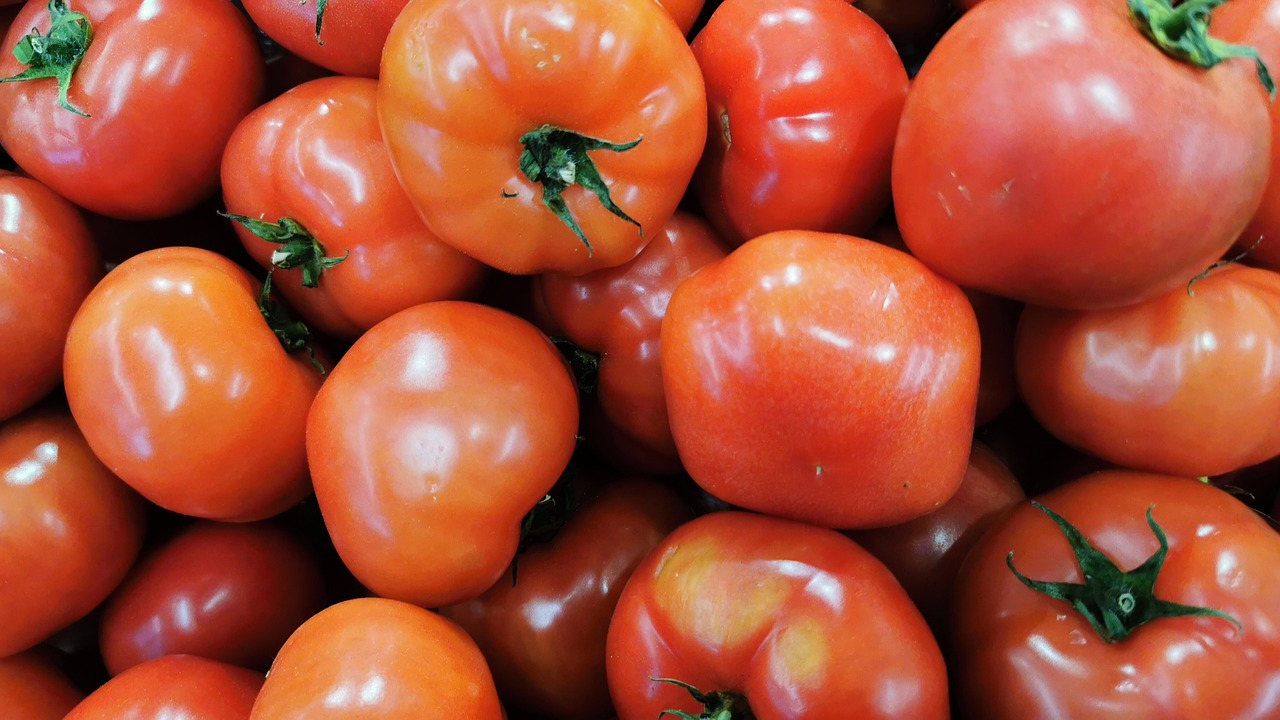 ντομάτα - ντοματοξυδο 