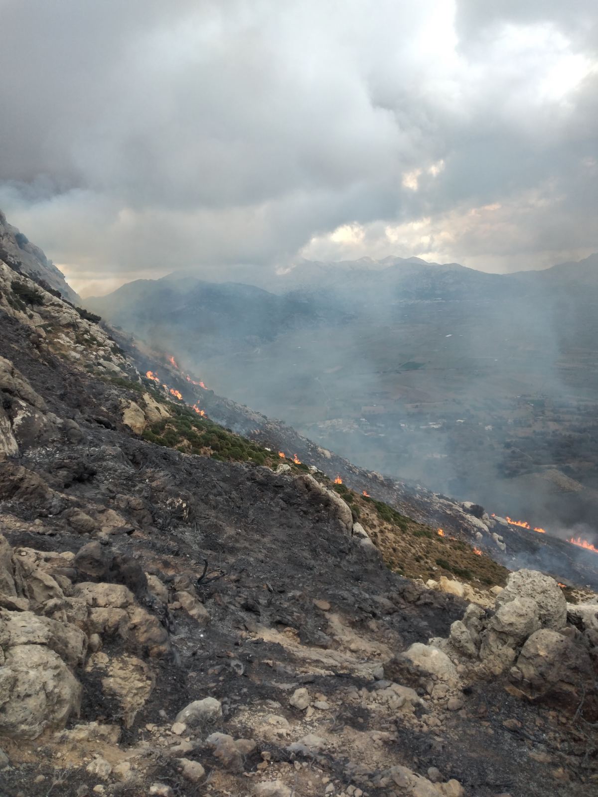 οροπέδιο λασιθίου φωτιά πυροσβεστική