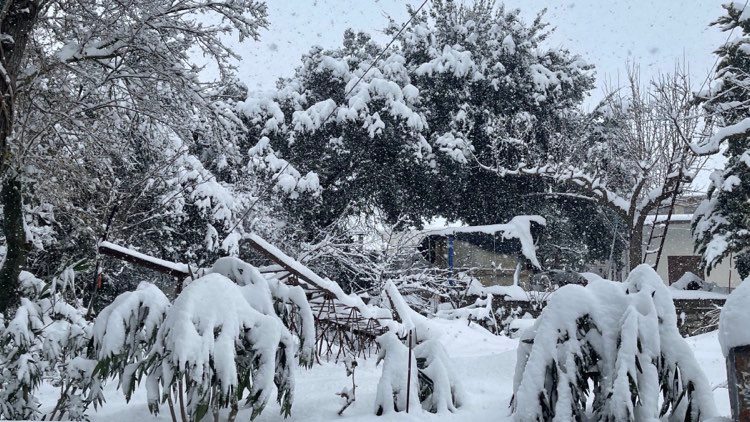 Οροπέδιο Λασιθίου