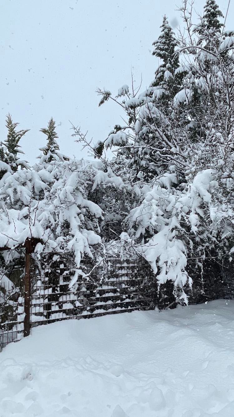 Οροπέδιο Λασιθίου