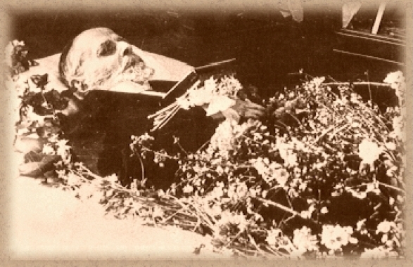 Παλαμάς Κωστής