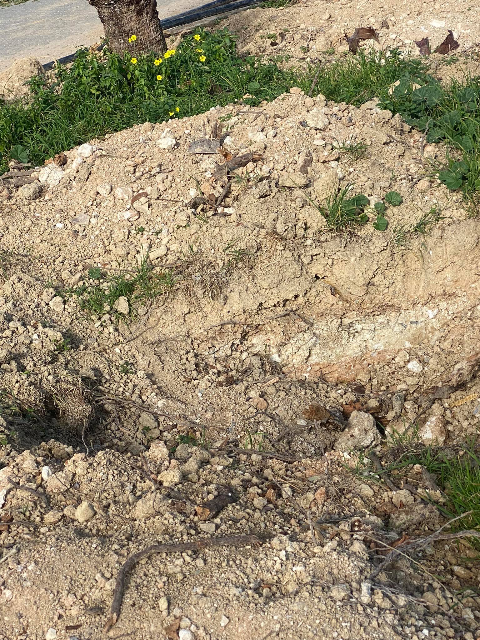 πάρκο-κηπούπολη