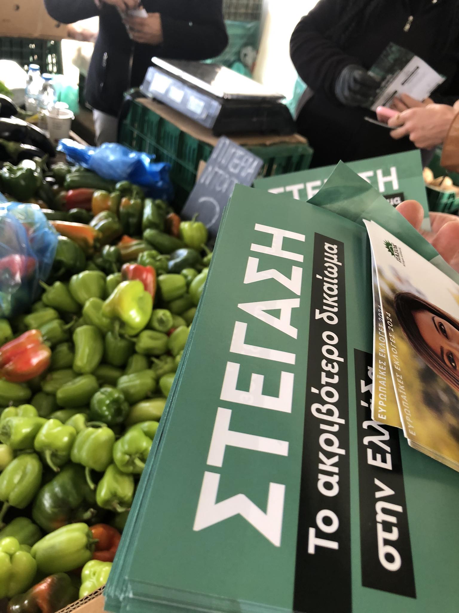 Χανιά: Στη λαϊκή αγορά του Σαββάτου μέλη της ΝE ΠΑΣΟΚ μαζί με την Μαρία Δαφέρμου