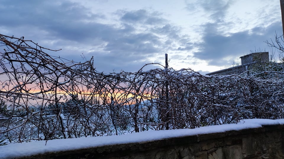 Πετροκέφαλο χιόνια