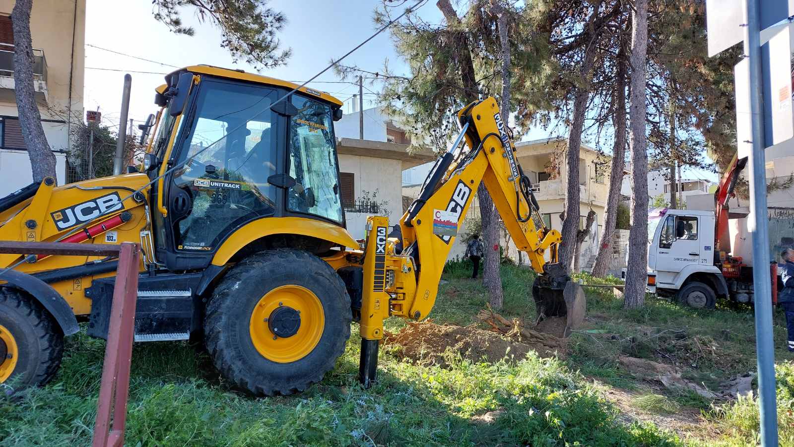 Πευκώνας Δειλινά κοπές δέντρων