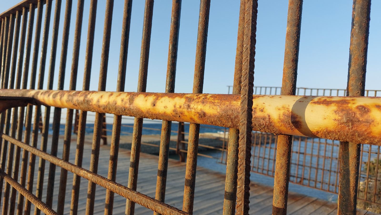 pezogefyra kalatrava karavolas 10