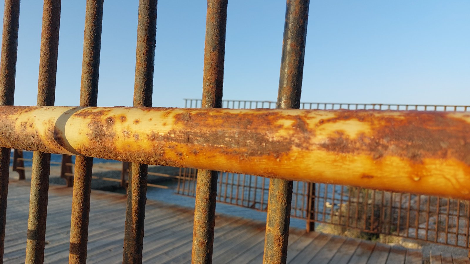 pezogefyra kalatrava karavolas 9