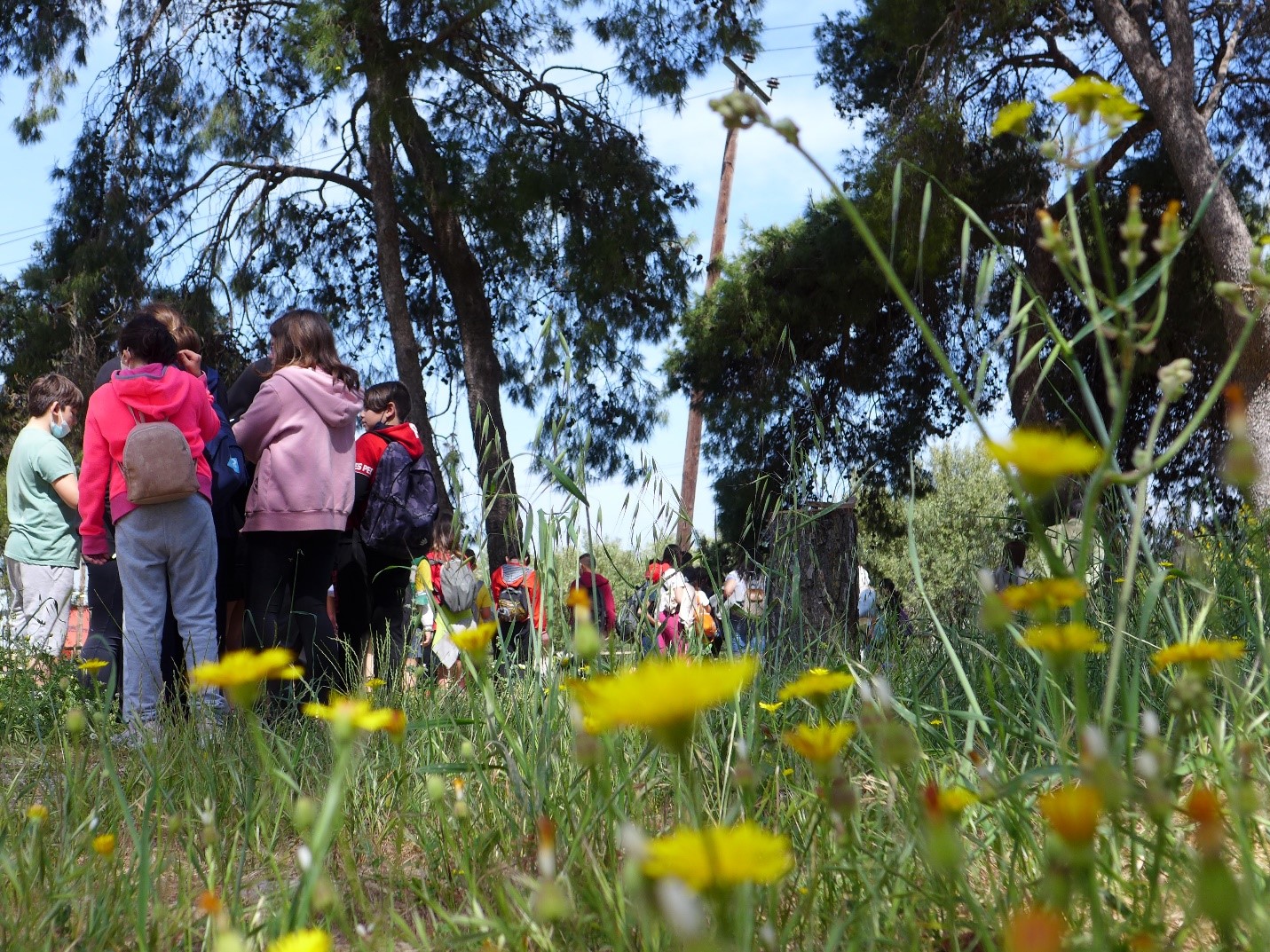 Από βιωματική δράση στο ΜΑΙΧ