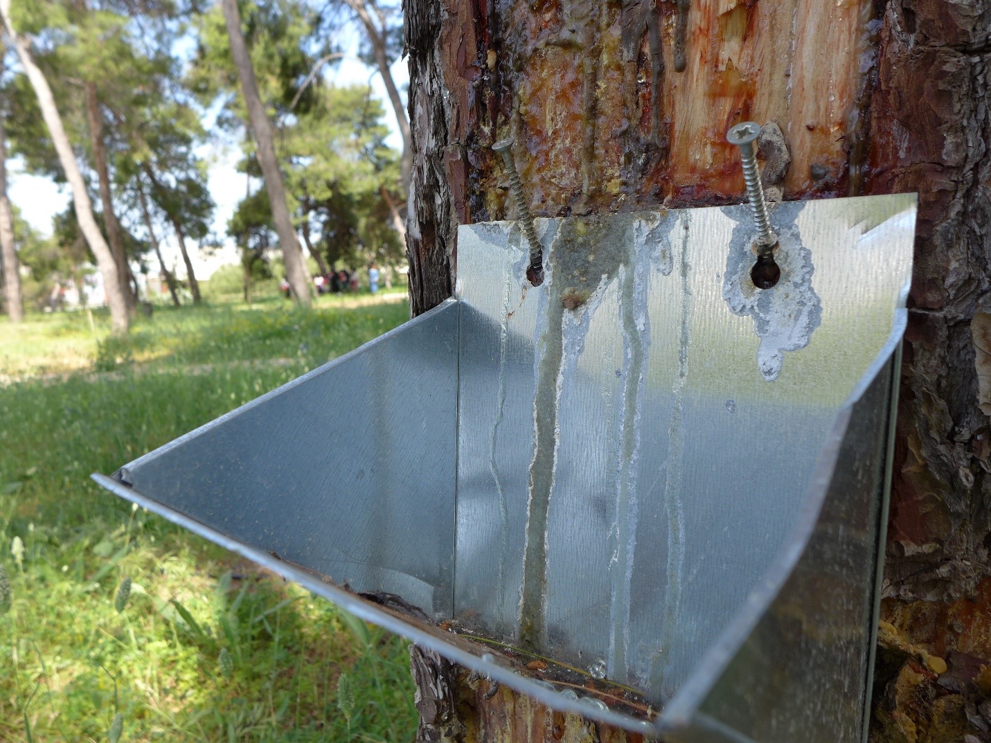 Από βιωματική δράση στο ΜΑΙΧ