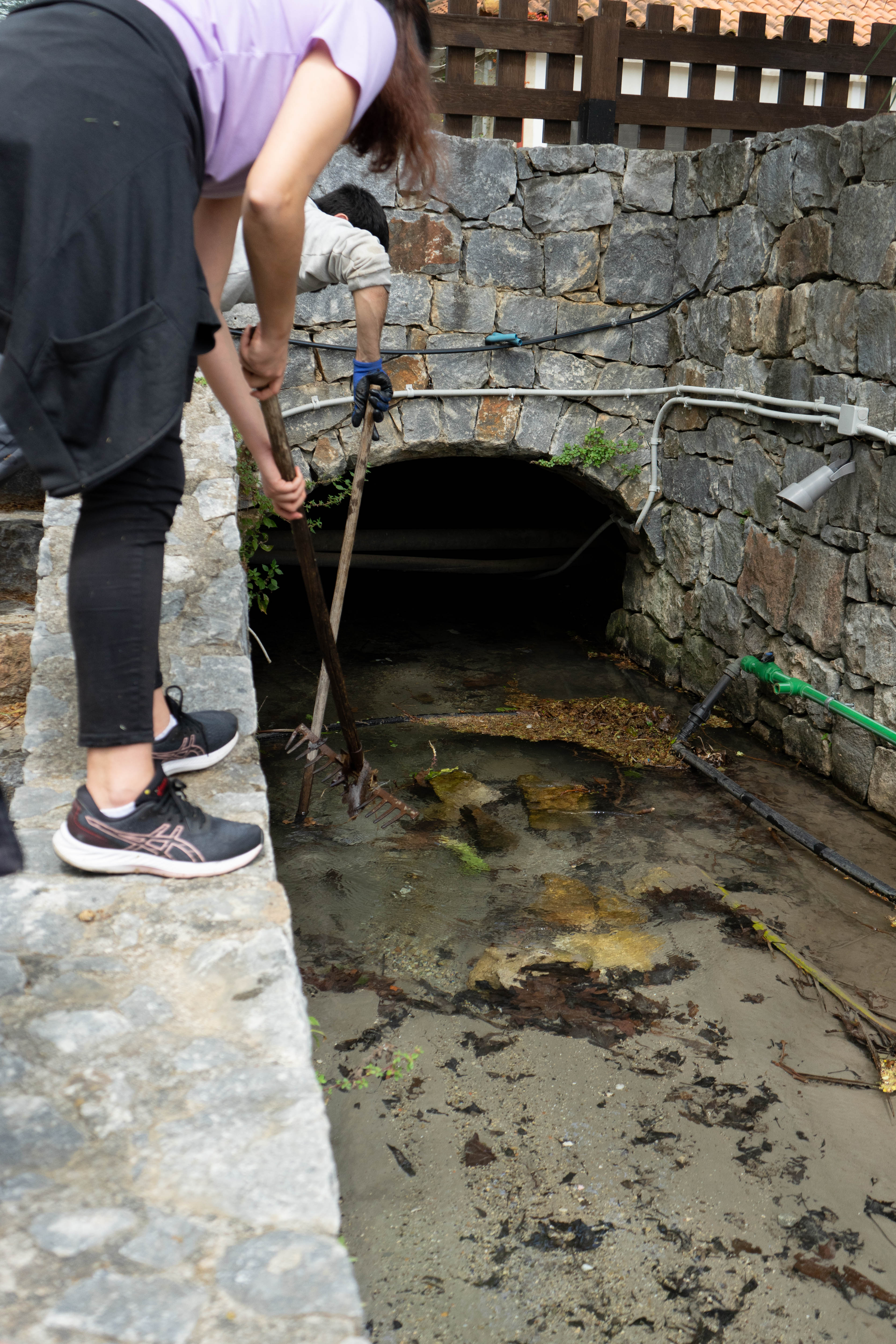 εθελοντική δράση