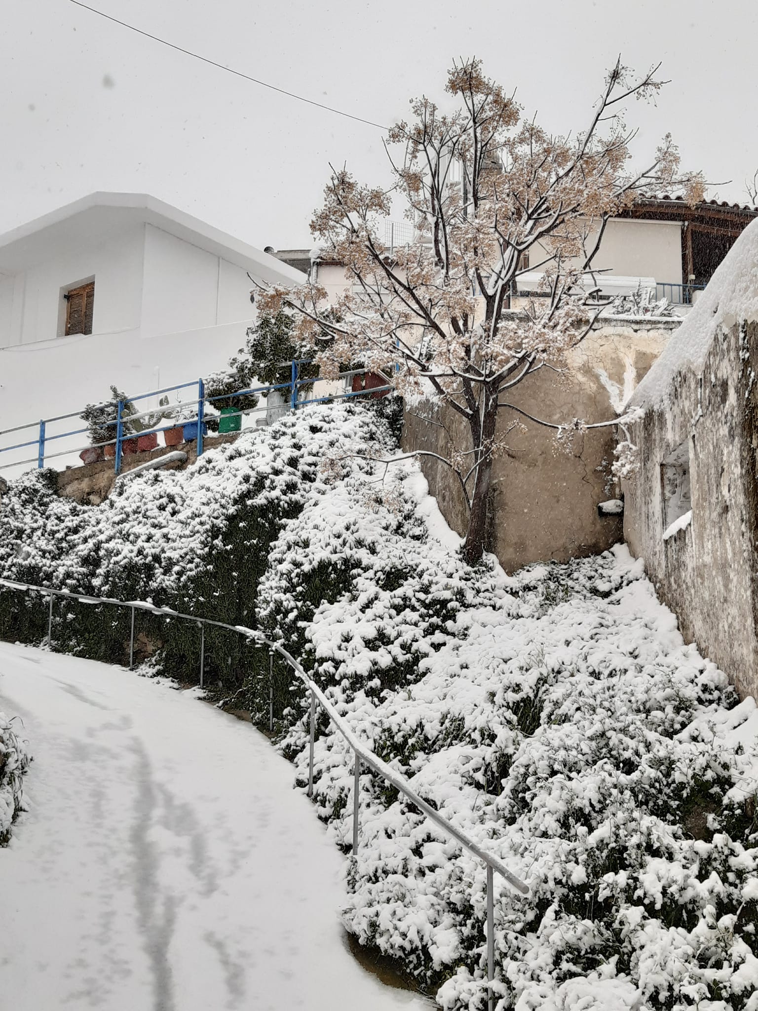 Πλάτανος Αμαρίου
