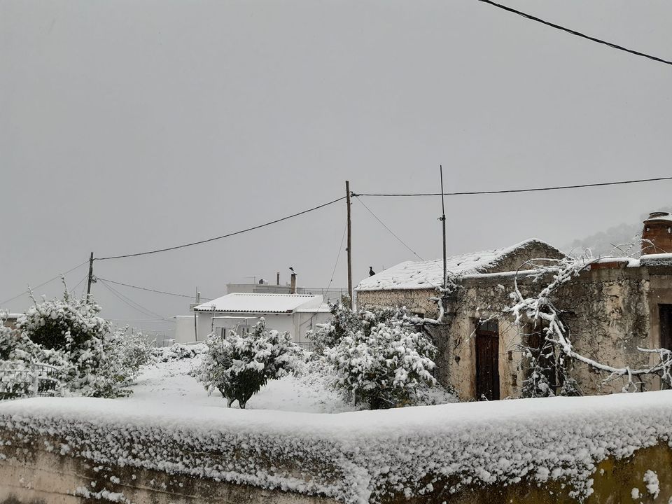Πλάτανος Αμαρίου
