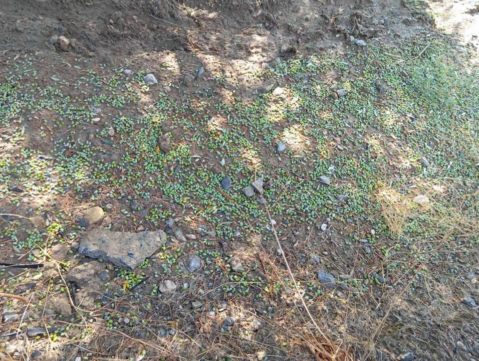 Πρεβελιανά χαλάζι