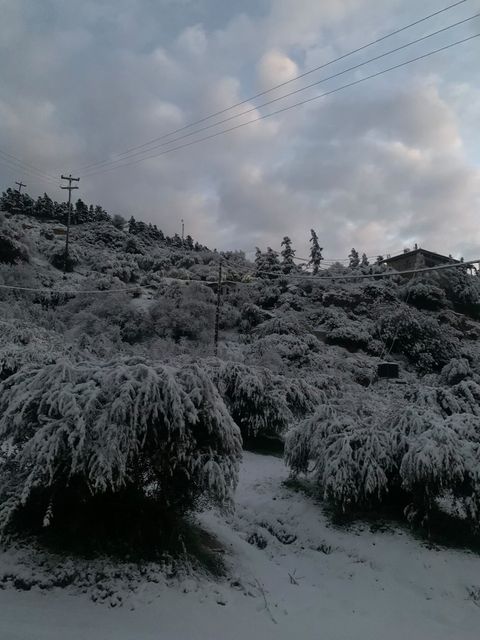 Προφήτης Ηλίας