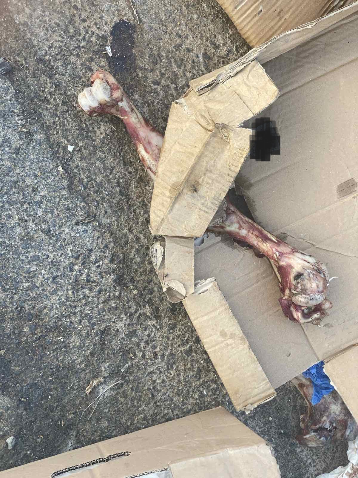 χωματερές ηρακλειο δαφνές πρόστιμα