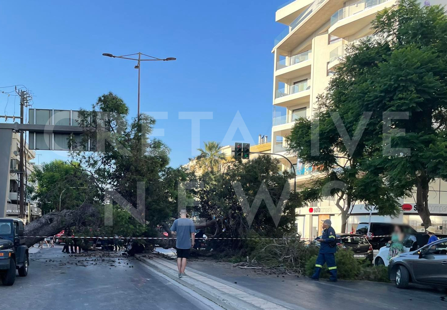 πτώση, δέντρο, νεκρός, άντρας