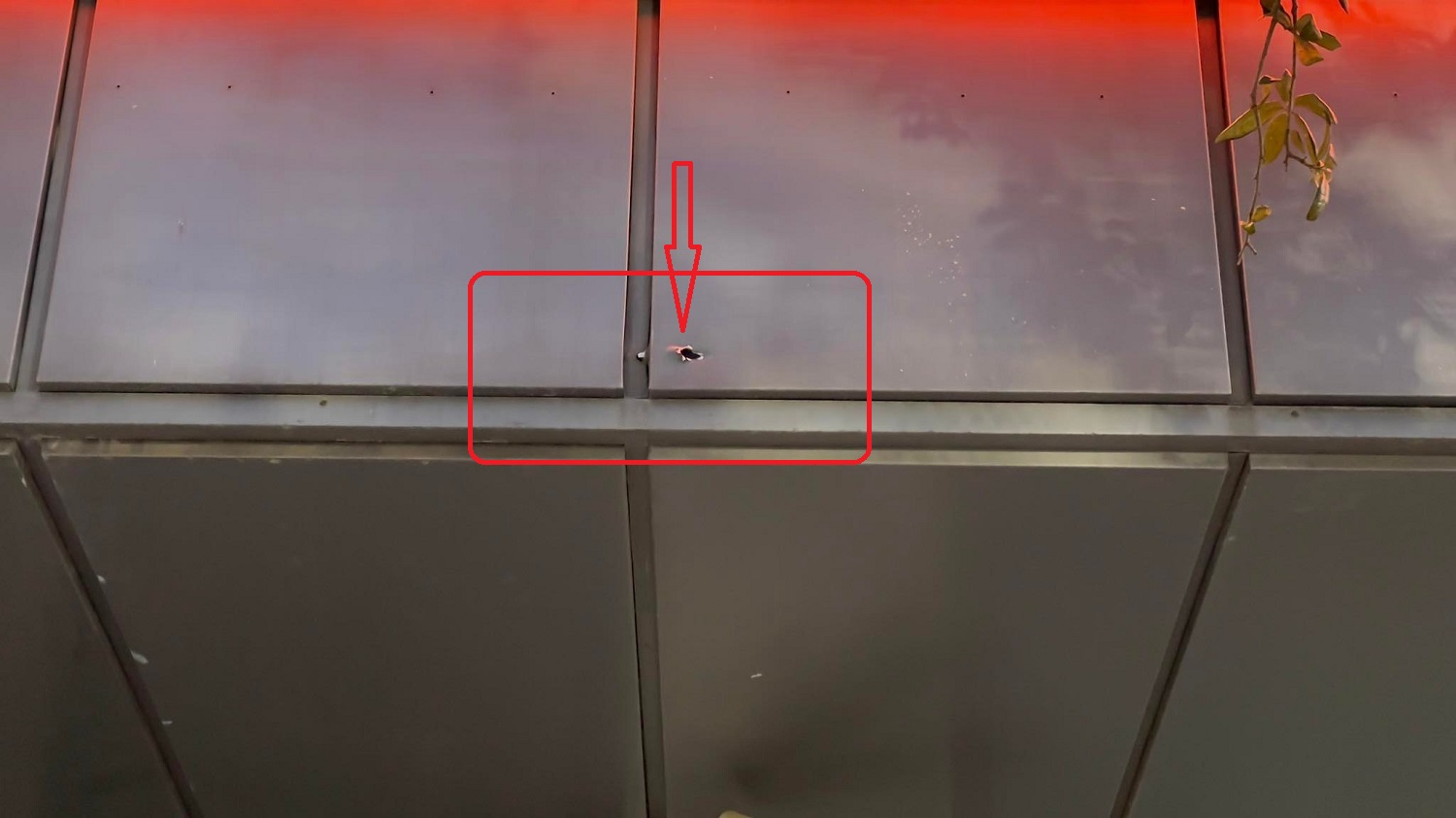 Γάζι Πυροβολισμοί