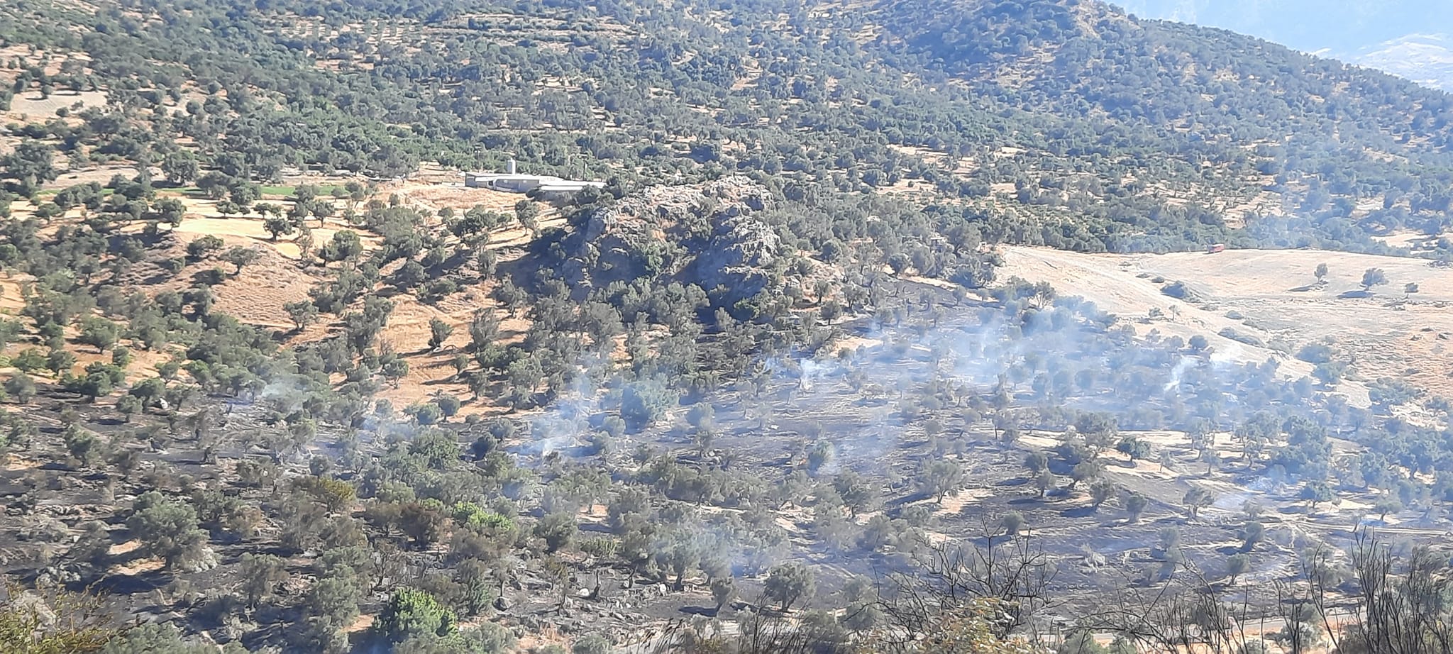 Ρεθυμνο φωτια