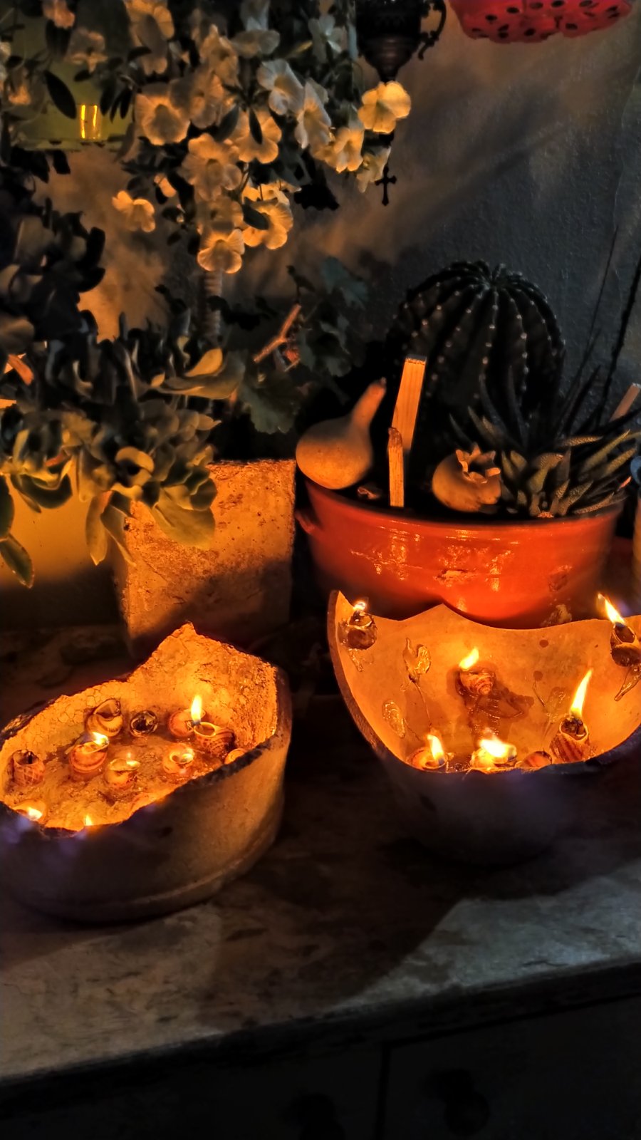 saligkaria agios vlasis