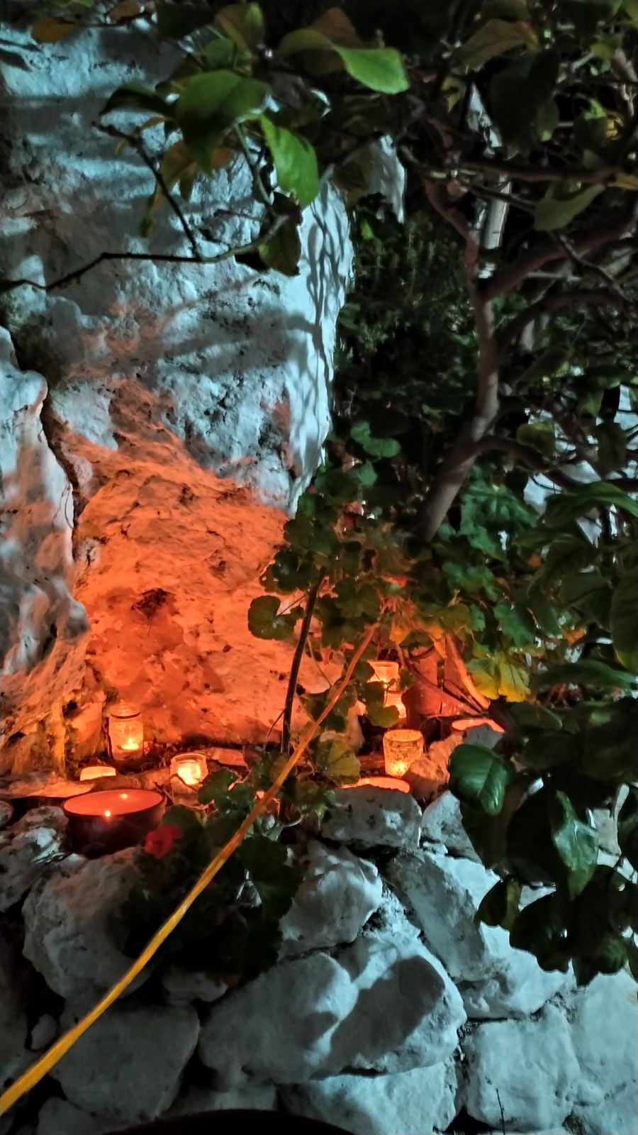 saligkaria agios vlasis