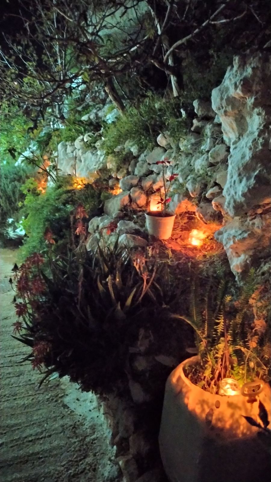 saligkaria agios vlasis