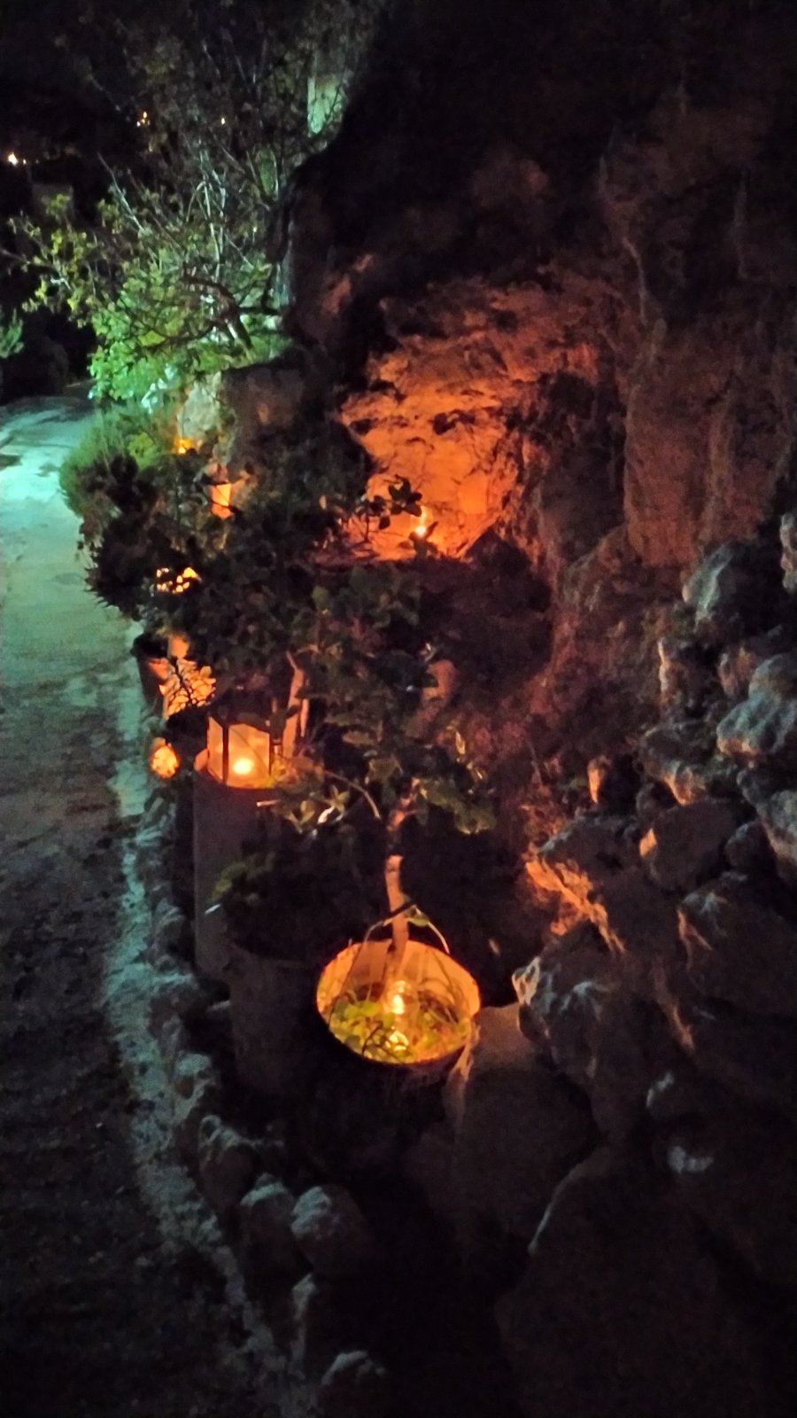 saligkaria agios vlasis