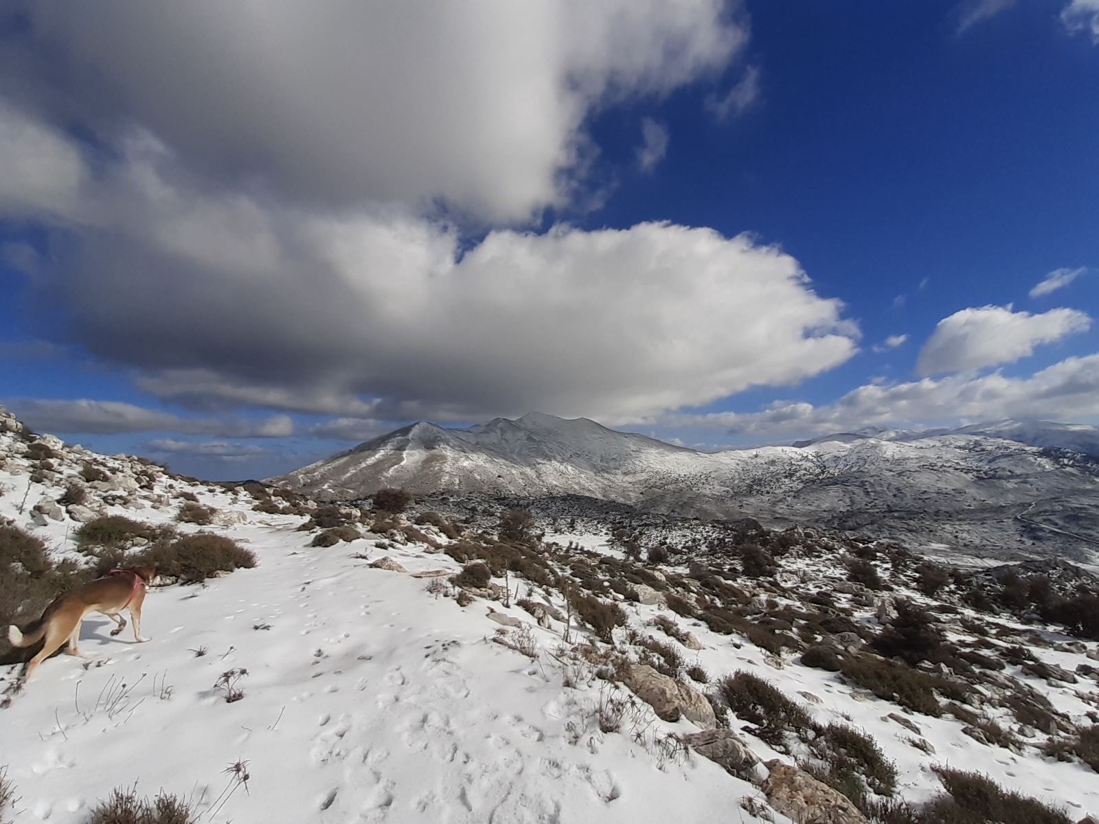 Σελένα από Καρφί