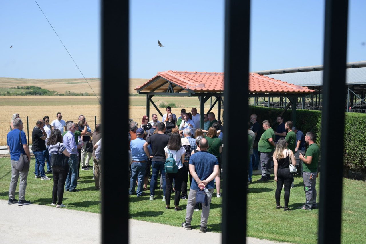 Σέρρες Ανδρουλάκης