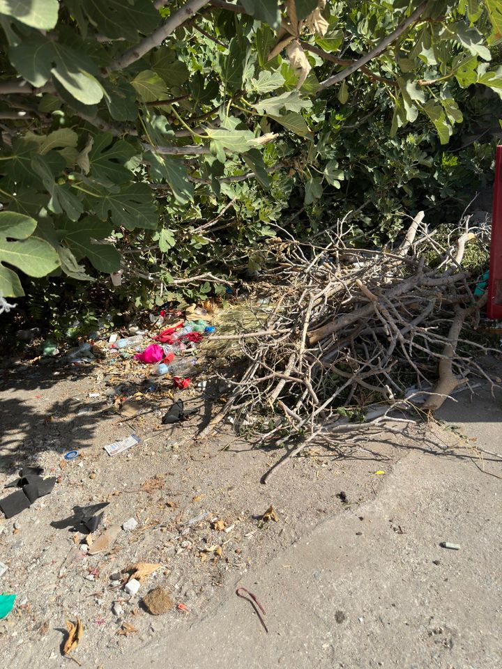 skoupidia paraliaki 2