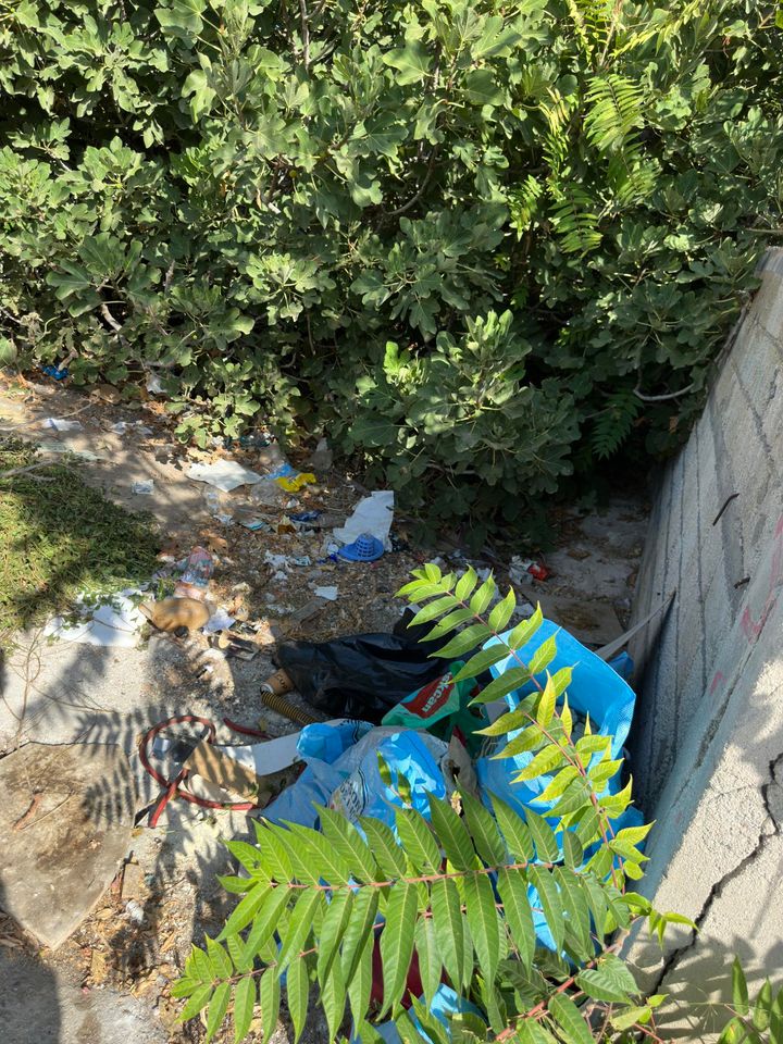 skoupidia paraliaki 3