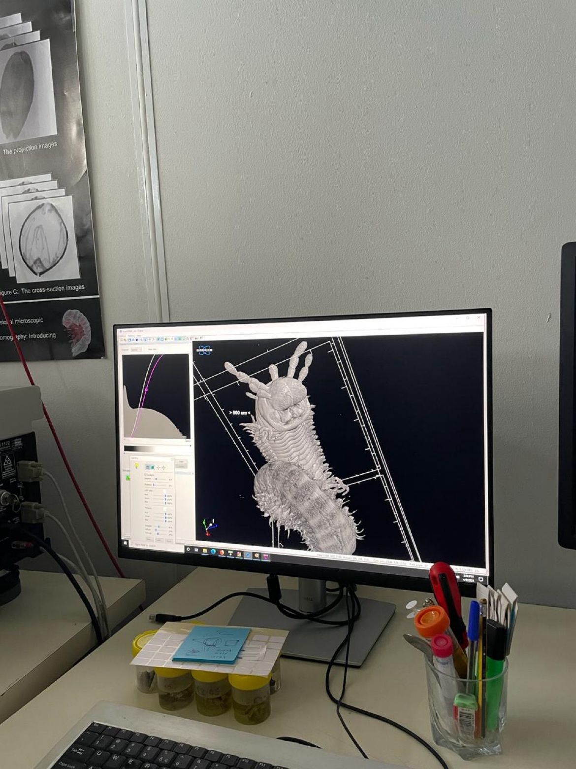 σκουλήκια ελκεθε