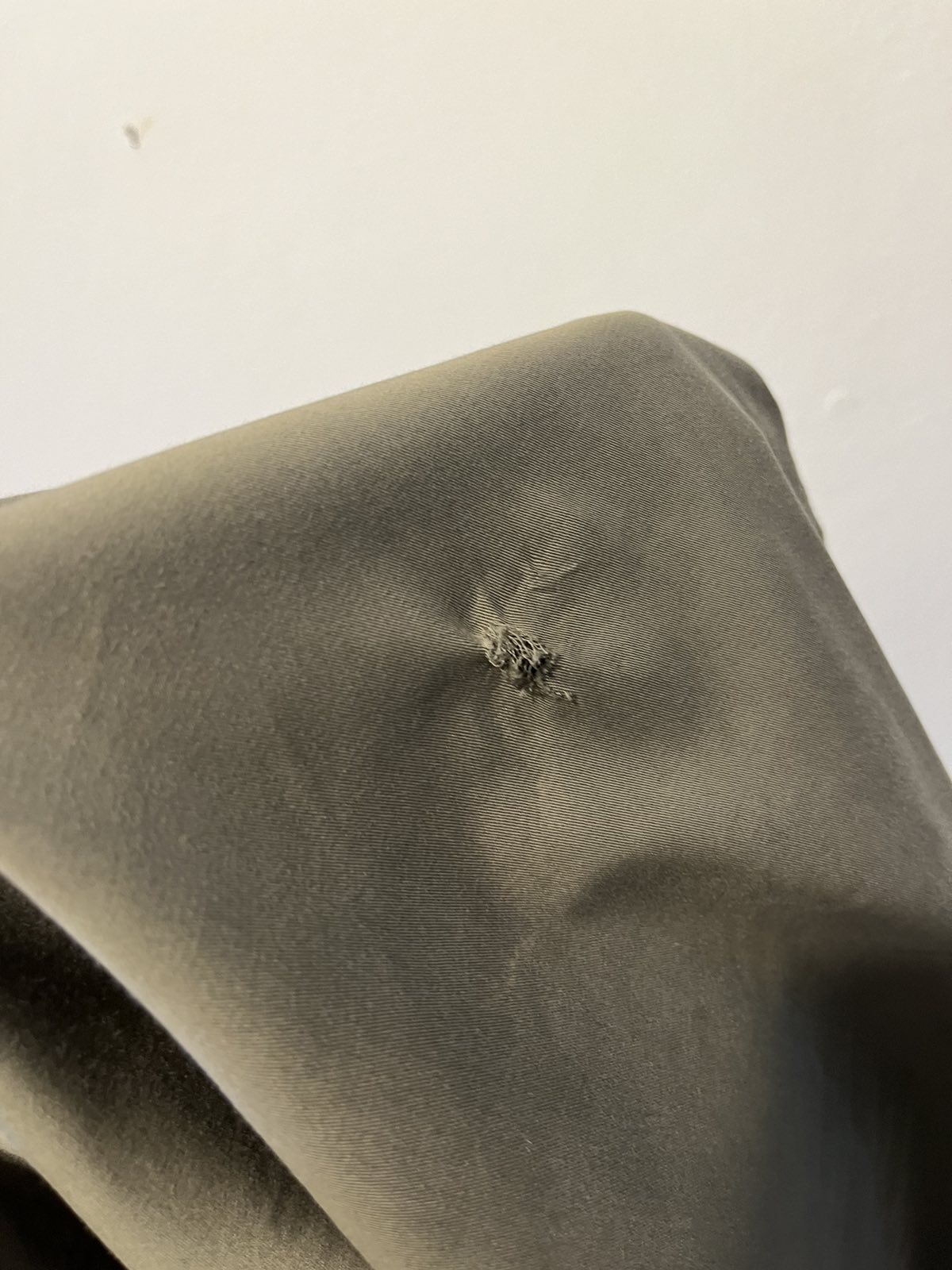 σκυλιά αγέλη παγνη ηράκλειο