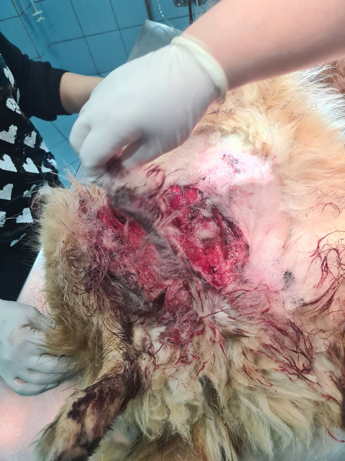 Λούσι τραύμα