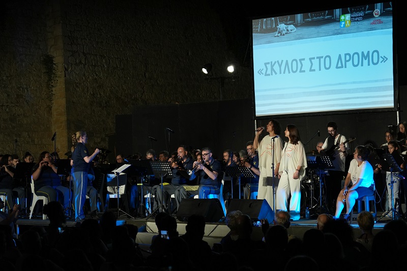 Εκδήλωση Σκύλος στον Δρόμο