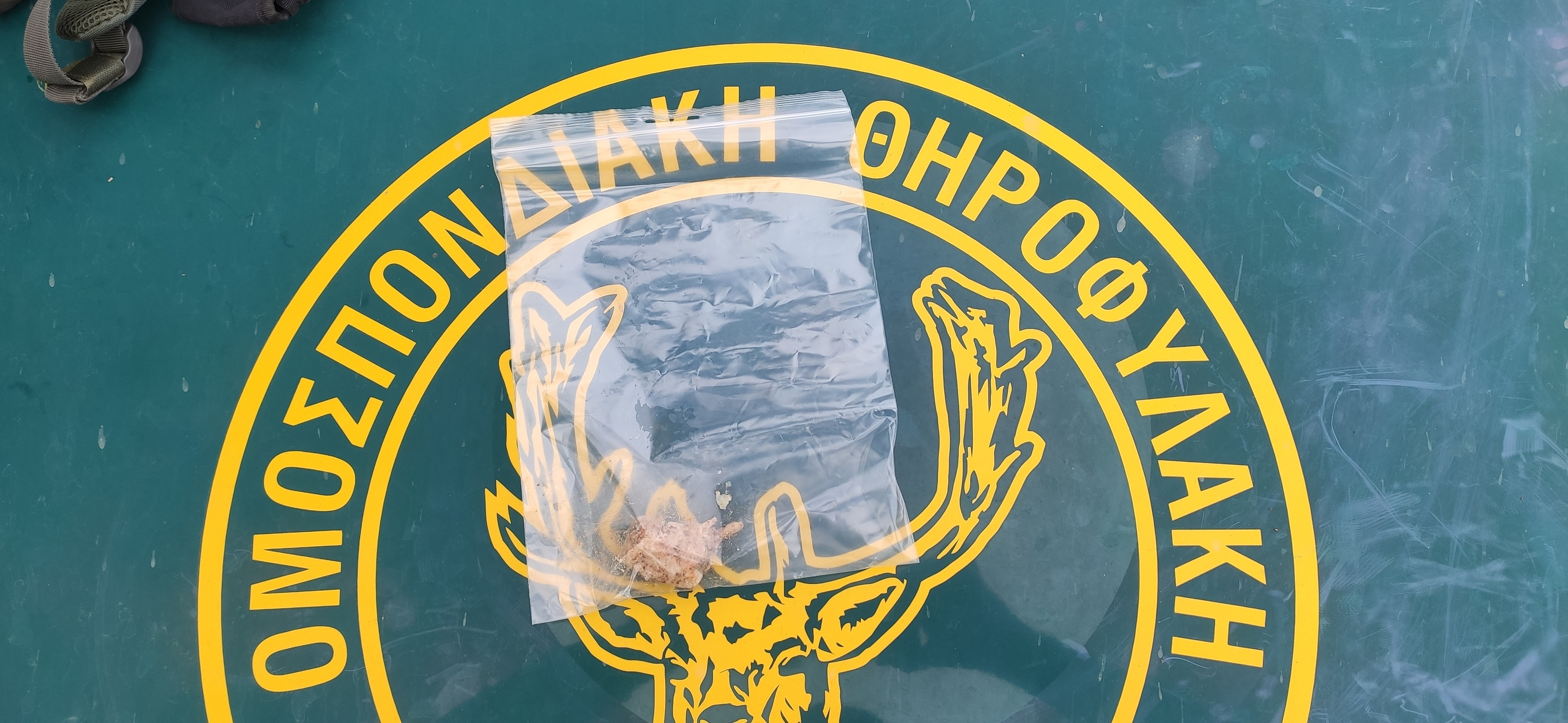 Φωτογραφία:&nbsp;George Chorafas