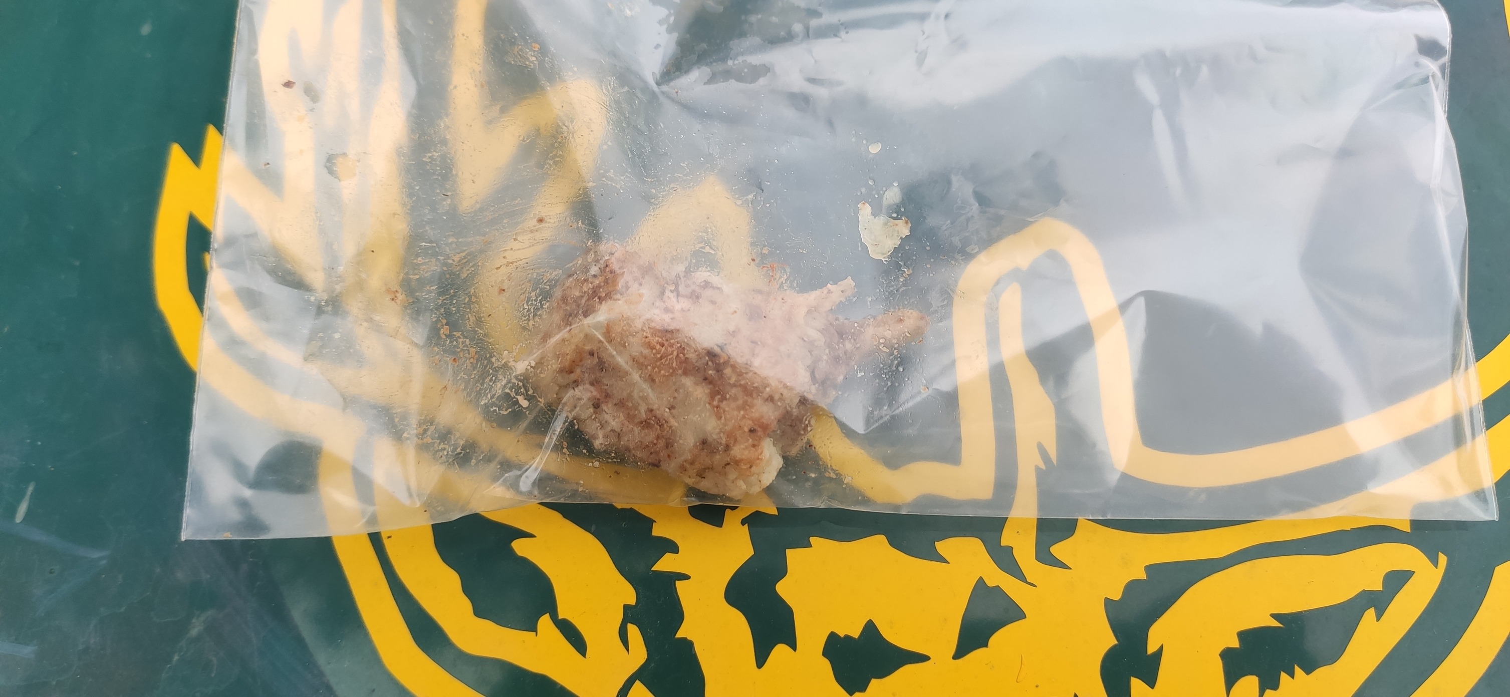 Φωτογραφία:&nbsp;George Chorafas