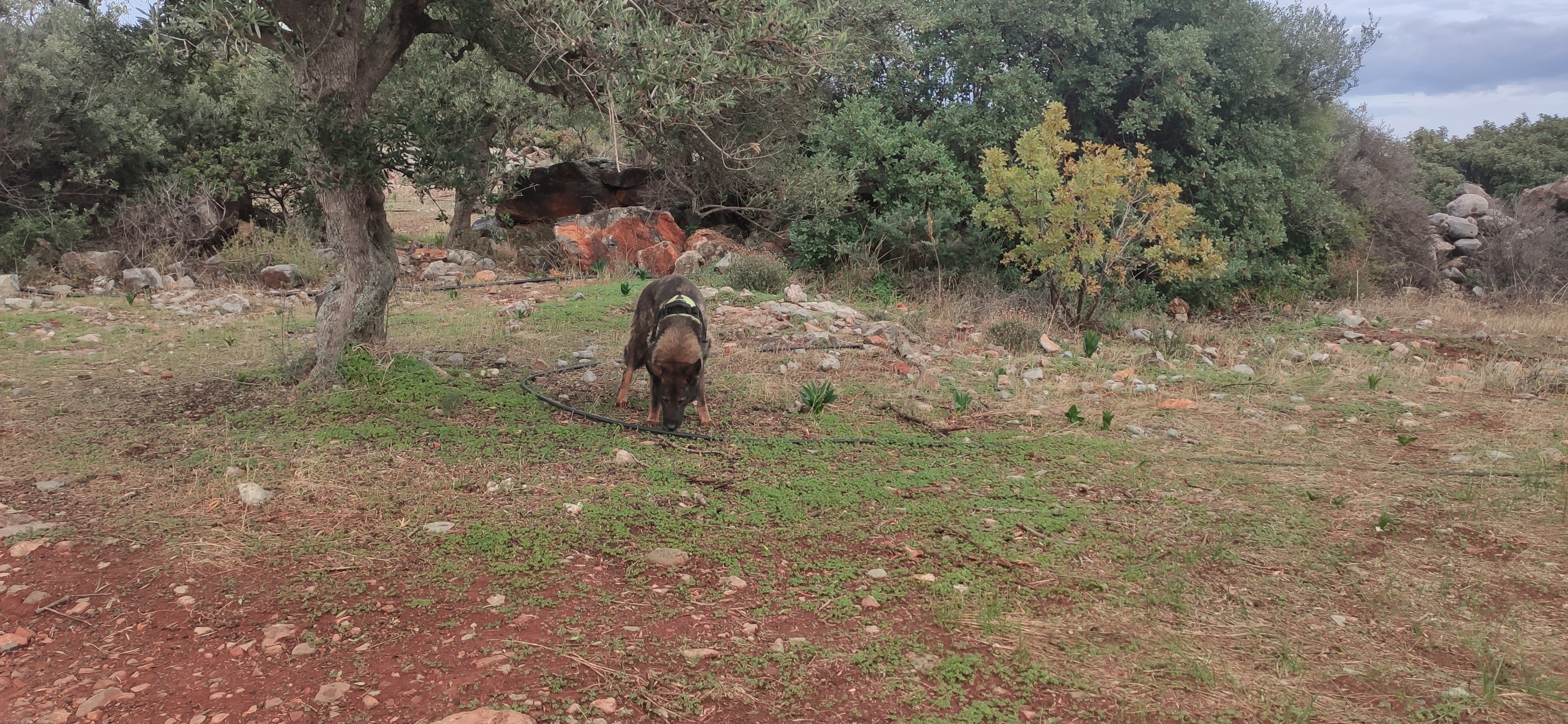 Φωτογραφία:&nbsp;George Chorafas