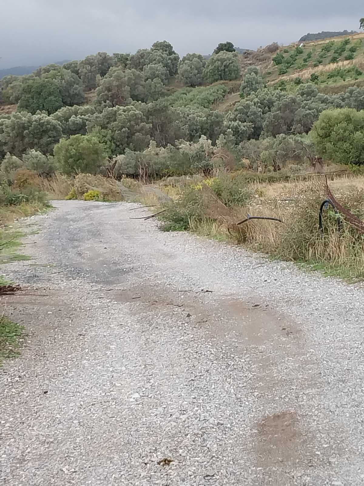 Σχολή Ασωμάτων κλοπή