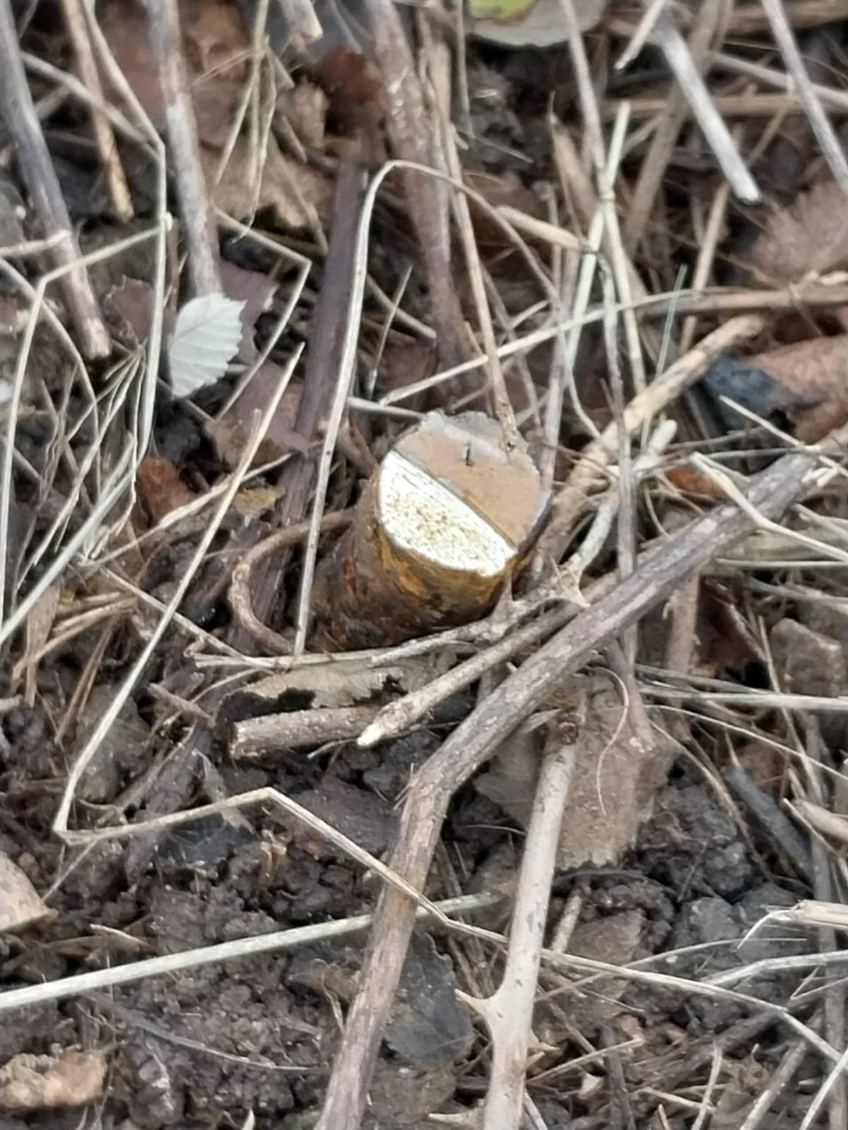 Σχολή Ασωμάτων κλοπή