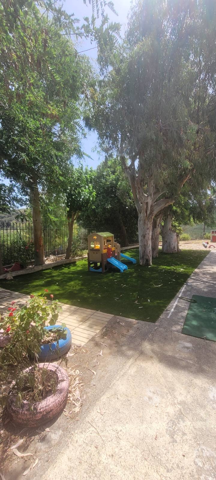 σχολική επιτροπή Πλατανιά