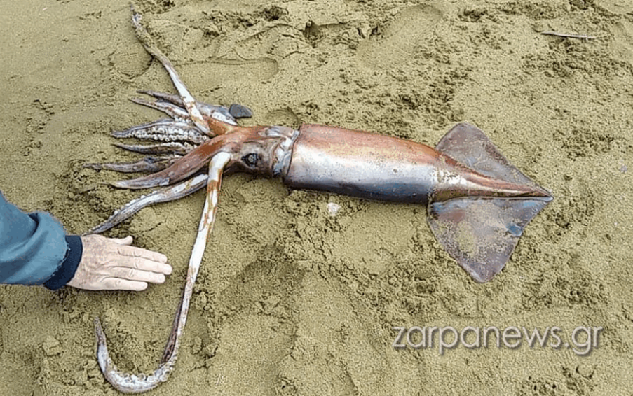 φωτογραφία 2