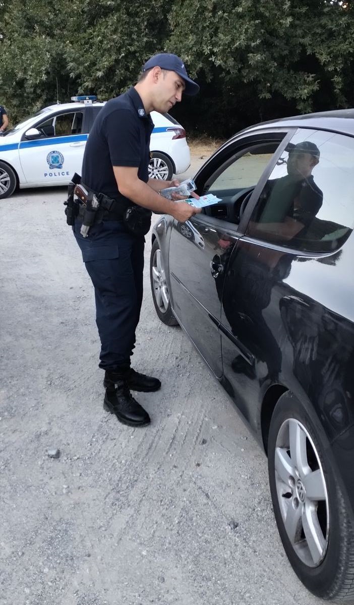 Οδηγός της παρέας