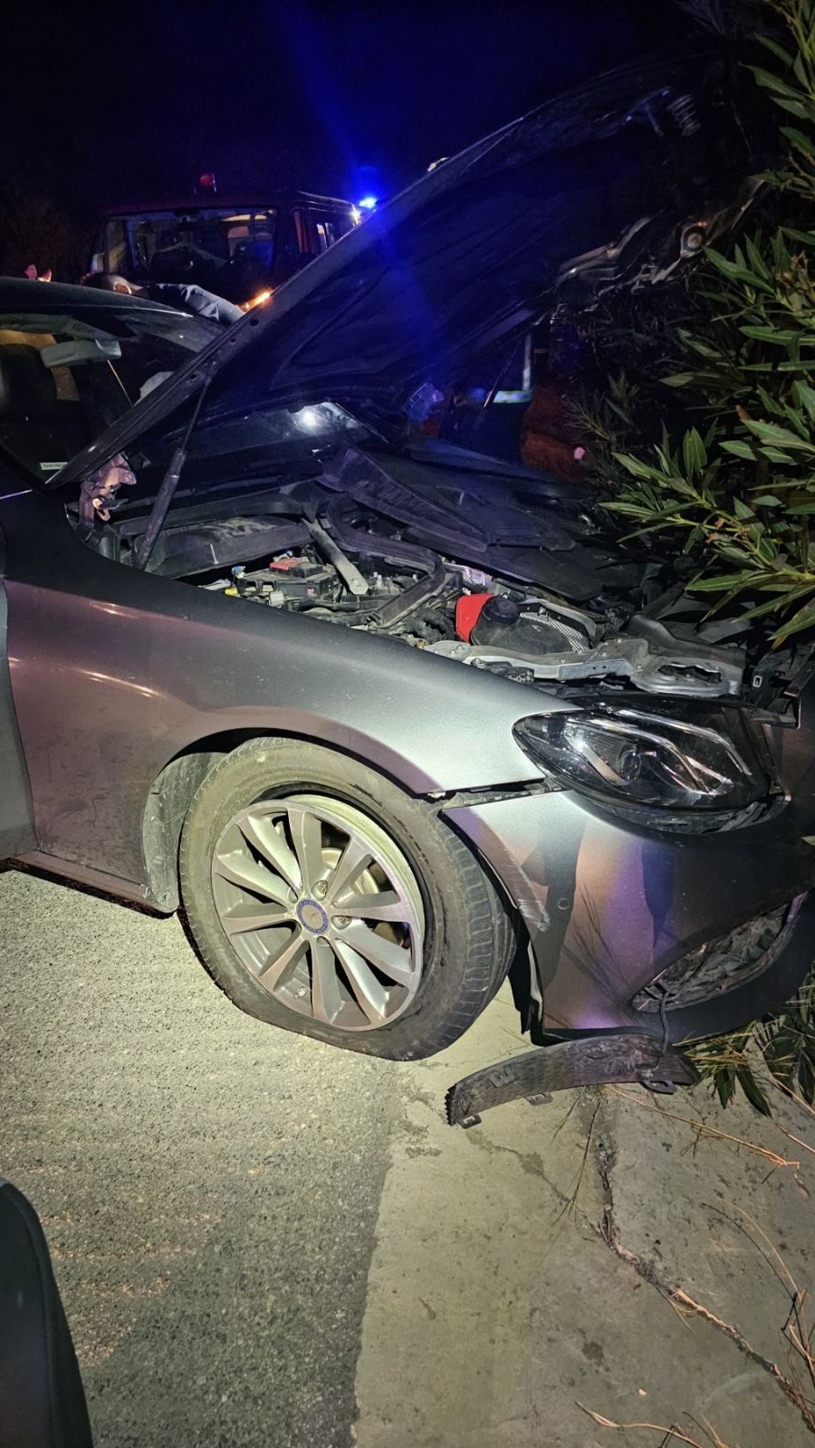 troxaio pera galinoi 7