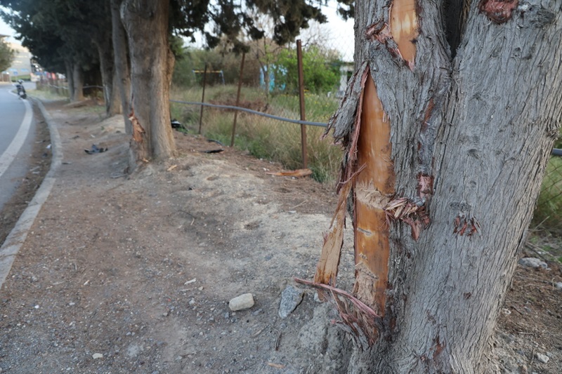 φωτογραφία ImageOnline